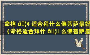 命格 🦢 适合拜什么佛菩萨最好（命格适合拜什 🦅 么佛菩萨最好呢）